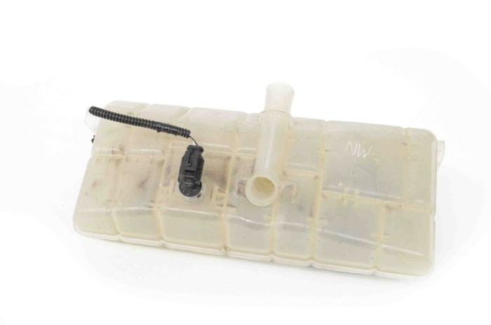 Vas de expansiune TESLA MODEL X 2017 OEM: 1036124-00-O 14854741