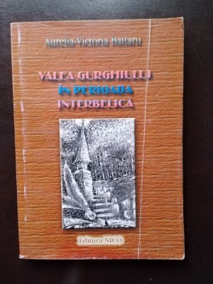 Aurelia-Victoria Baltaru - Valea Giurgiului in Perioada Interbelica foto