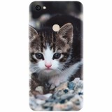 Husa silicon pentru Xiaomi Redmi Note 5A, Animal Cat