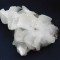 Specimen minerale - Frunze de florocalcit pe blenda (CV 3M)