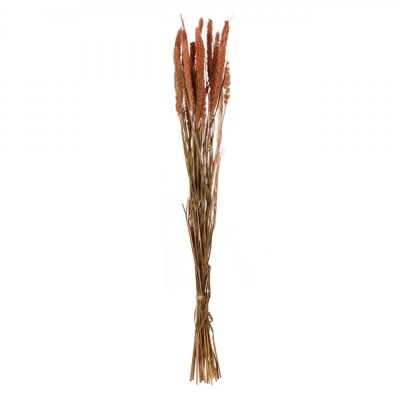 Decorațiune Artificială, Model Ramuri Millet, Culoare Roz Pudrat, Lungime 60cm foto