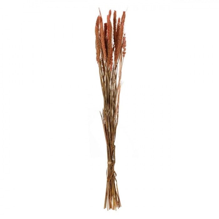 Decorațiune Artificială, Model Ramuri Millet, Culoare Roz Pudrat, Lungime 60cm