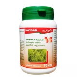 TINCTURA GALBENELE 500ML, Dorel Plant