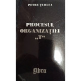 Petre Turlea - Procesul organizatiei &quot;T&quot; (editia 2000)