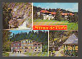 CPIB 17714 CARTE POSTALA - STANA DE VALE, MOZAIC, Circulata, Fotografie