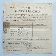 SCOALA DE FETE NR 1, GIURGIU- Certificat de examen, 1919