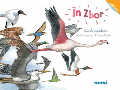 In zbor - Pasarile migratoare - Capucine Mazille, Michael Francesconi foto