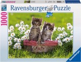 Puzzle 1000 PIESE, tema Picnic in Lunca, RAVENSBURGER