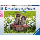 Puzzle 1000 PIESE, tema Picnic in Lunca, RAVENSBURGER