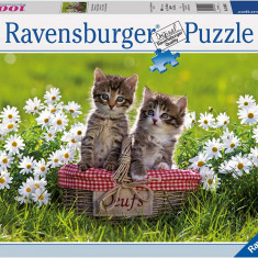 Puzzle 1000 PIESE, tema Picnic in Lunca, RAVENSBURGER