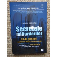 Secretele miliardarilor - Rafael Badziag