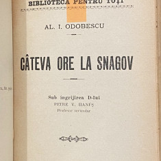 A. I. Odobescu - Cateva ore la Snagov 5 volume colegat