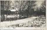 CP1072N Iarna la Craiova, Parcul Romanescu, carte poștală