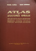 Atlas De Anatomia Omului Sistemul Nervos Central - Viorel Ranga Radu Dimitriu ,555597