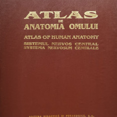 Atlas De Anatomia Omului Sistemul Nervos Central - Viorel Ranga Radu Dimitriu ,555597