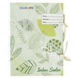 Ierbar scolar , 30 File, Cu snur, Format A4 Activitate Educationala pentru Studiul Plantelor