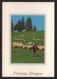 CPIB 22379 - CARTE POSTALA - POIANA BRASOV. CIOBAN CU OI, NECIRCULATA