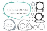 Set garnituri motor compatibil: YAMAHA YFM 600 1998-2001, WINDEROSA