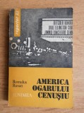 Romulus Rusan - America ogarului cenusiu