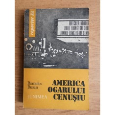 Romulus Rusan - America ogarului cenusiu