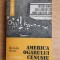 Romulus Rusan - America ogarului cenusiu