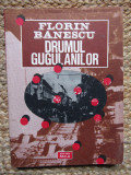 FLORIN BANESCU - DRUMUL GUGULANILOR