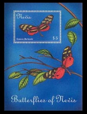 NEVIS 2000 FAUNA INSECTE FLUTURI foto