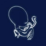 Agaetis Byrjun - Vinyl | Sigur Ros