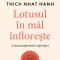 Lotusul In Mal Infloreste, Thich Nhat Hanh - Editura Curtea Veche