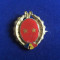 Insigna militara - Garzi Patriotice - Romania - Garzi Patriotice - GP - 1970