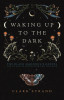 Waking Up to the Dark: The Black Madonna&#039;s Gospel for an Age of Extinction and Collapse