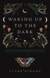 Waking Up to the Dark: The Black Madonna&#039;s Gospel for an Age of Extinction and Collapse