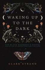Waking Up to the Dark: The Black Madonna&#039;s Gospel for an Age of Extinction and Collapse
