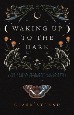 Waking Up to the Dark: The Black Madonna&amp;#039;s Gospel for an Age of Extinction and Collapse foto