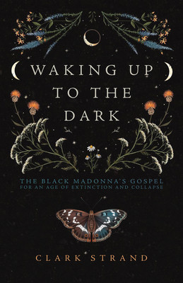 Waking Up to the Dark: The Black Madonna&#039;s Gospel for an Age of Extinction and Collapse