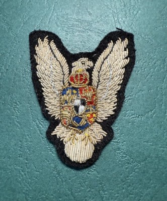 Insigna textil Pilot Militar Mihai 1 foto