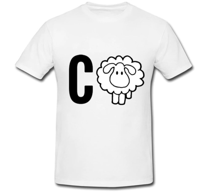 Tricou &quot; C&hellip;oaie &quot;