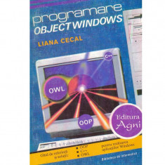 Liana Cecal - Programare Object Windows - 133888