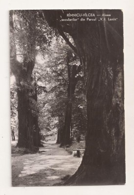 RF69 -Carte Postala- Ramnicu Valcea, Aleea Secularilor, necirculata 1962 foto