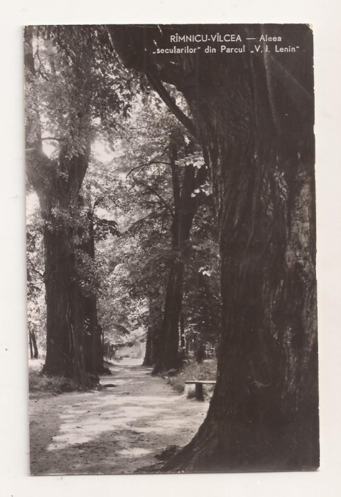 RF69 -Carte Postala- Ramnicu Valcea, Aleea Secularilor, necirculata 1962