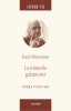 Opere VII. La ruinurile galanteriei. Opera postuma, Emil Brumaru, Polirom