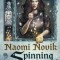 Spinning Silver
