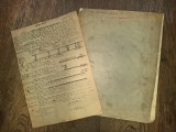 Cumpara ieftin SICA ALEXANDRESCU : PROCES VERBAL, SEMNAT OLOGRAF + PIESA DE TEATRU , 16 FILE SCRISE OLOGRAF ** ION MANOLESCU