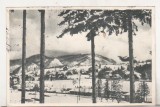 Bnk cp Predeal - Vedere spre Piatra Mare - circulata 1962 - Libraria noastra, Printata
