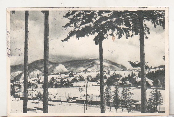 bnk cp Predeal - Vedere spre Piatra Mare - circulata 1962 - Libraria noastra