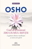 Cum sa-ti linistesti zbuciumul mintii - OSHO, Livingstone