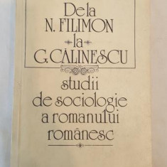 Dela N. Filimon la G. Calinescu - studii de sociologie a romanului romanesc