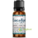Ulei Esential de Eucalipt 10ml