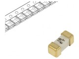 Siguranță &Icirc;nt&acirc;rziere SMD 1A 125V, Littelfuse