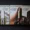CRONICA DE FAMILIE - Petru Dumitru (3 volume)